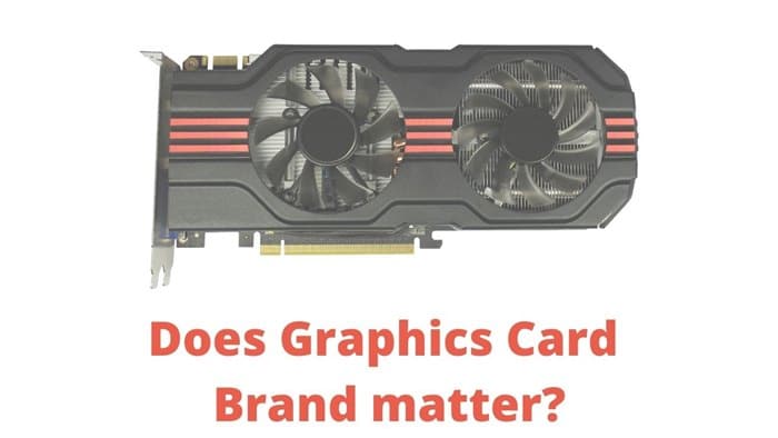 Does Graphics Card brand matter? Which one should you choose?